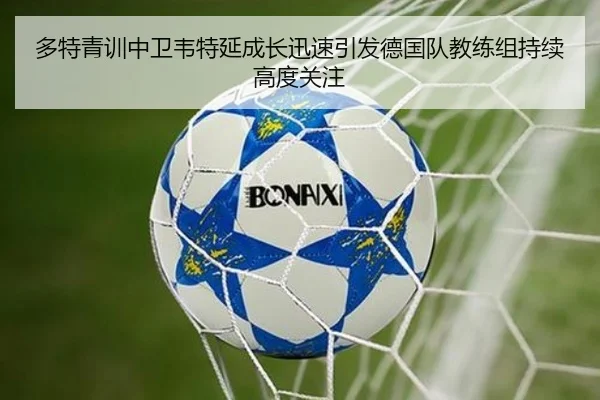 多特青训中卫韦特延成长迅速引发德国队教练组持续高度关注